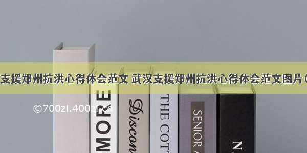 武汉支援郑州抗洪心得体会范文 武汉支援郑州抗洪心得体会范文图片(8篇)