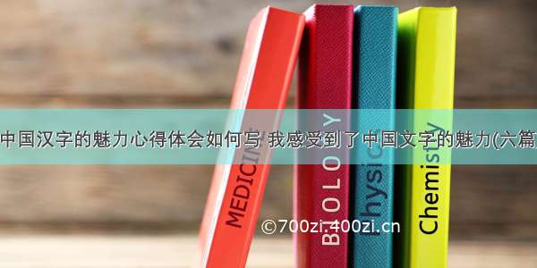 中国汉字的魅力心得体会如何写 我感受到了中国文字的魅力(六篇)