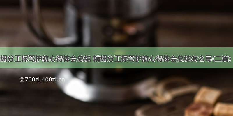 精细分工保驾护航心得体会总结 精细分工保驾护航心得体会总结怎么写(二篇)