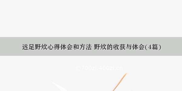 远足野炊心得体会和方法 野炊的收获与体会(4篇)