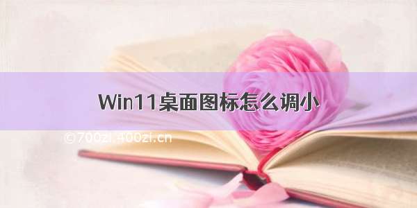 Win11桌面图标怎么调小