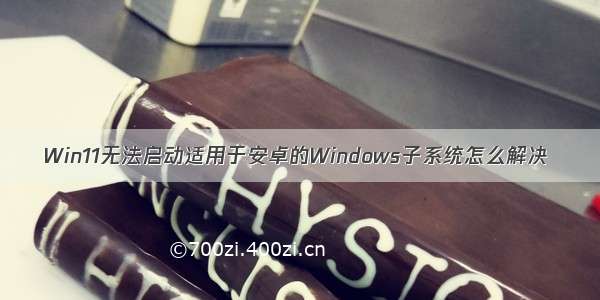 Win11无法启动适用于安卓的Windows子系统怎么解决