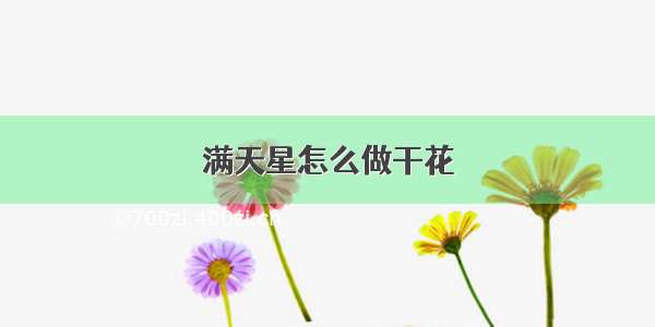 满天星怎么做干花