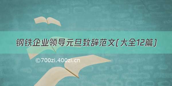 钢铁企业领导元旦致辞范文(大全12篇)