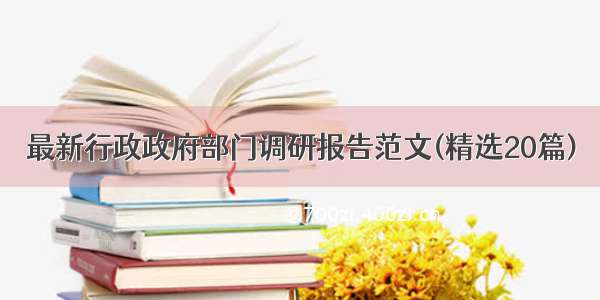 最新行政政府部门调研报告范文(精选20篇)