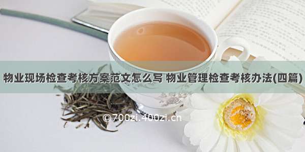 物业现场检查考核方案范文怎么写 物业管理检查考核办法(四篇)