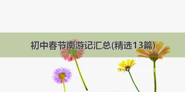 初中春节南游记汇总(精选13篇)