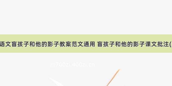 初一语文盲孩子和他的影子教案范文通用 盲孩子和他的影子课文批注(三篇)