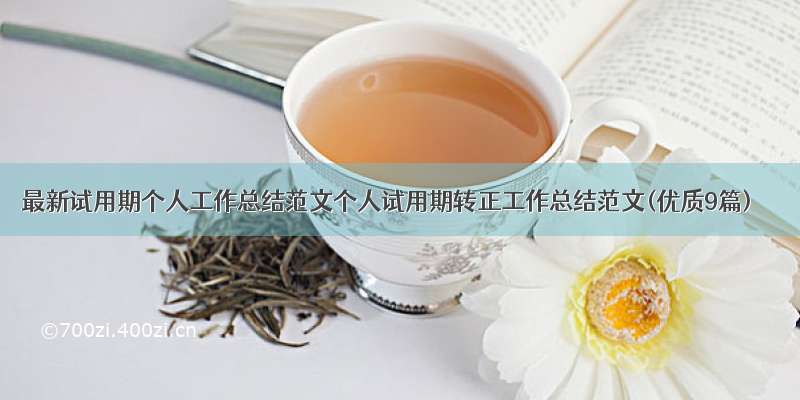 最新试用期个人工作总结范文个人试用期转正工作总结范文(优质9篇)