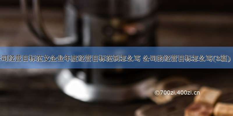 公司经营目标范文企业年度经营目标范例怎么写 公司的经营目标怎么写(3篇)