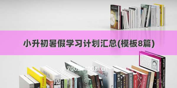 小升初暑假学习计划汇总(模板8篇)