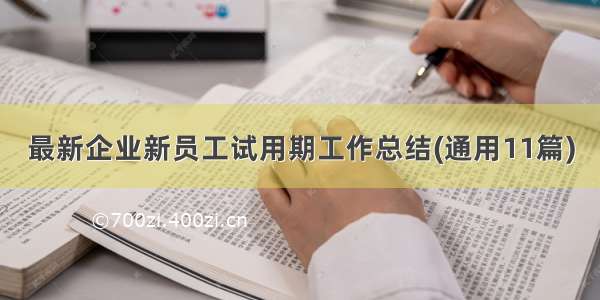 最新企业新员工试用期工作总结(通用11篇)