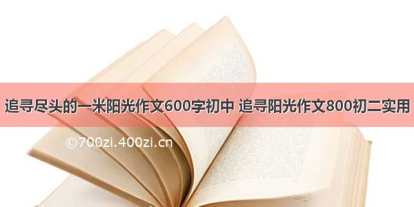 追寻尽头的一米阳光作文600字初中 追寻阳光作文800初二实用