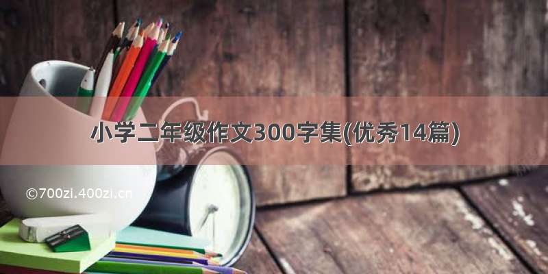 小学二年级作文300字集(优秀14篇)