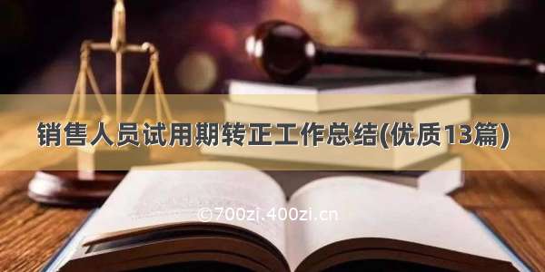 销售人员试用期转正工作总结(优质13篇)