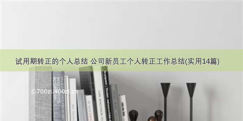 试用期转正的个人总结 公司新员工个人转正工作总结(实用14篇)