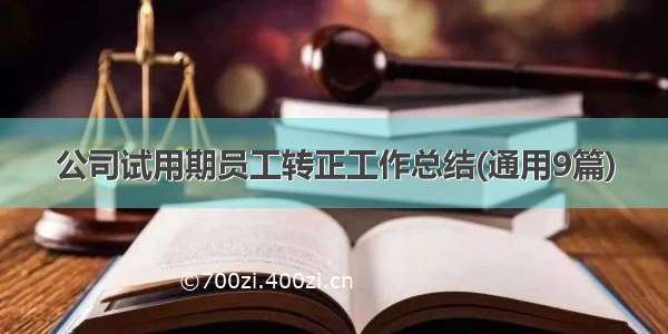 公司试用期员工转正工作总结(通用9篇)