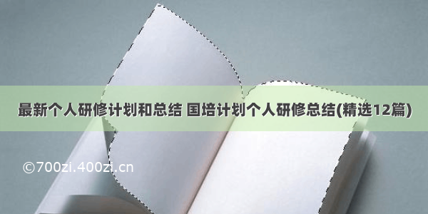 最新个人研修计划和总结 国培计划个人研修总结(精选12篇)