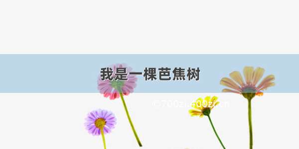 我是一棵芭焦树