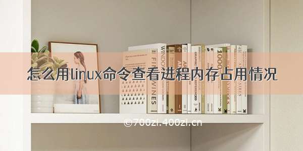 怎么用linux命令查看进程内存占用情况