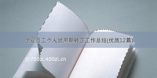 企业员工个人试用期转正工作总结(优质12篇)