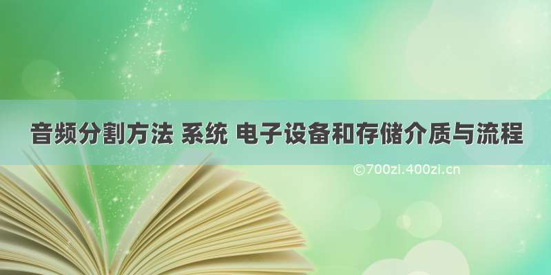 音频分割方法 系统 电子设备和存储介质与流程