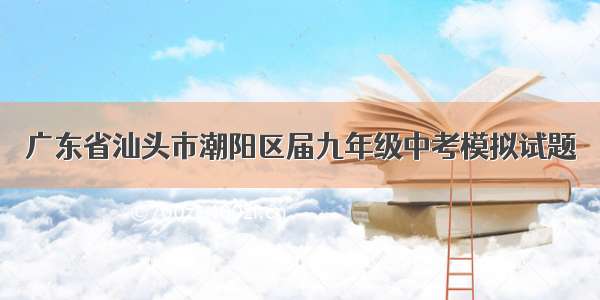 广东省汕头市潮阳区届九年级中考模拟试题