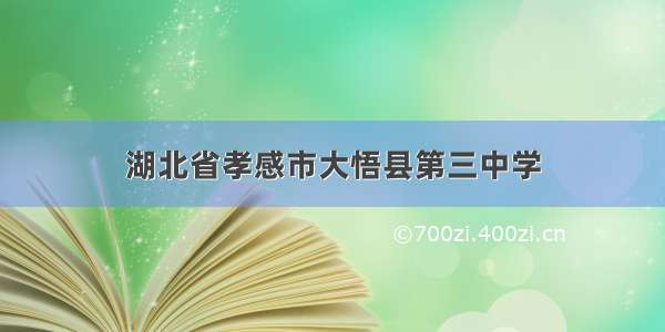 湖北省孝感市大悟县第三中学