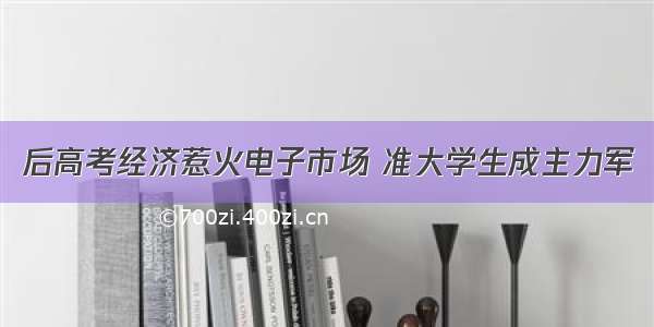 后高考经济惹火电子市场 准大学生成主力军