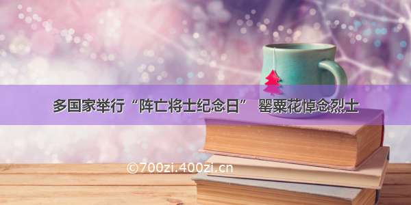 多国家举行“阵亡将士纪念日” 罂粟花悼念烈士