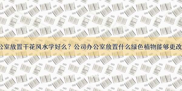 公司办公室放置干花风水学好么？公司办公室放置什么绿色植物能够更改风水学？