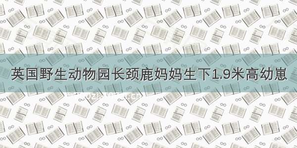 英国野生动物园长颈鹿妈妈生下1.9米高幼崽
