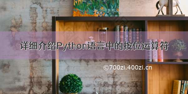 详细介绍Python语言中的按位运算符