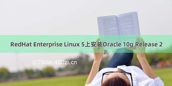 RedHat Enterprise Linux 5上安装Oracle 10g Release 2