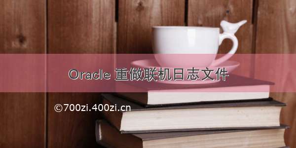 Oracle 重做联机日志文件