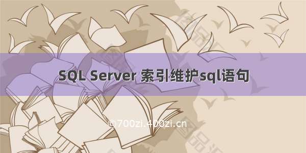 SQL Server 索引维护sql语句