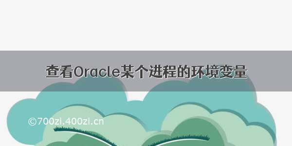 查看Oracle某个进程的环境变量