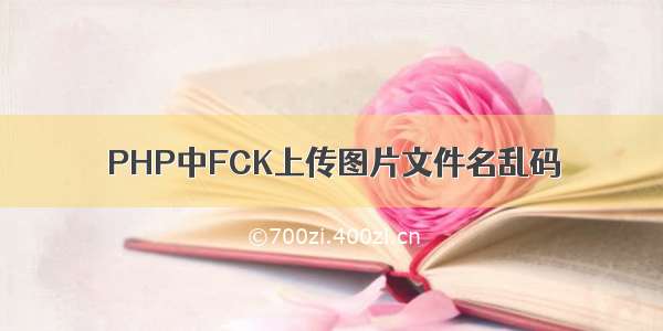 PHP中FCK上传图片文件名乱码