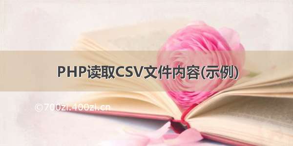 PHP读取CSV文件内容(示例)