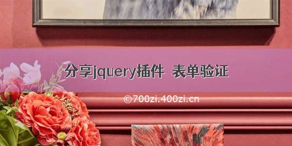 分享jquery插件–表单验证