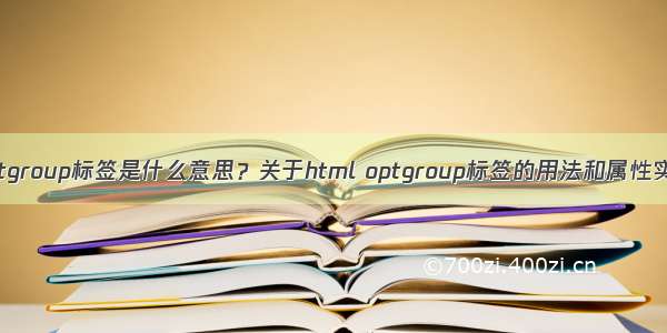 html optgroup标签是什么意思？关于html optgroup标签的用法和属性实例解析