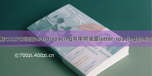 深入理解CSS文字间距word-spacing与字符间距letter-spacing的不同(code)