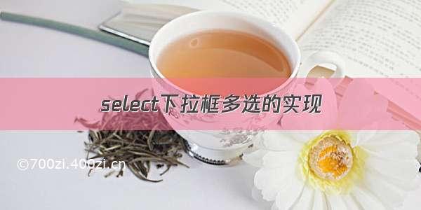 select下拉框多选的实现