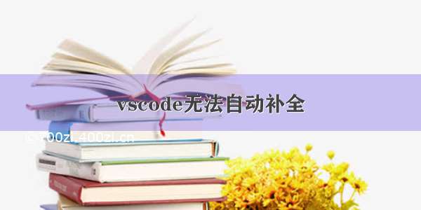 vscode无法自动补全