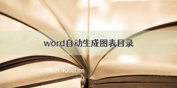 word自动生成图表目录