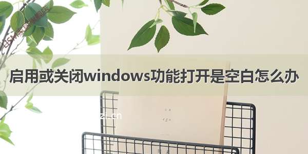 启用或关闭windows功能打开是空白怎么办