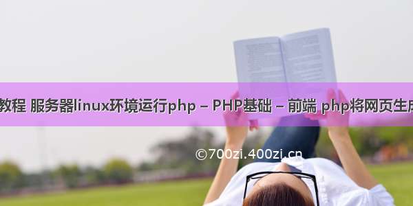 php搭建系统教程 服务器linux环境运行php – PHP基础 – 前端 php将网页生成pdf文件内容