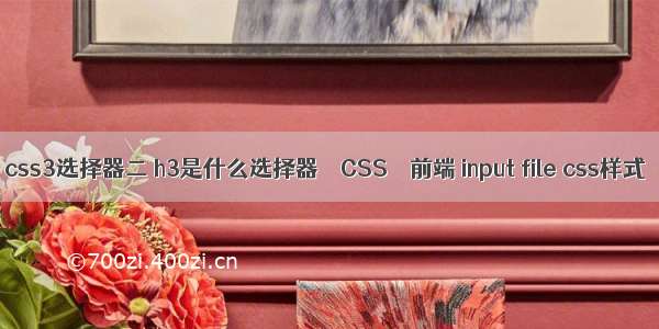 css3选择器二 h3是什么选择器 – CSS – 前端 input file css样式