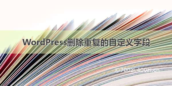 WordPress删除重复的自定义字段