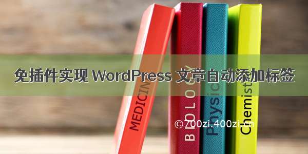 免插件实现 WordPress 文章自动添加标签